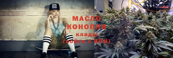 мет Алексин