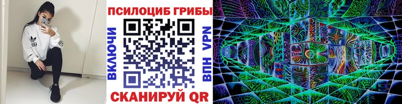 Галлюциногенные грибы GOLDEN TEACHER  магазин продажи   Нолинск 